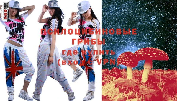 дурь Белокуриха