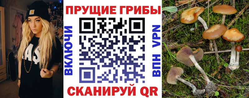 Галлюциногенные грибы мицелий ОМГ ОМГ маркетплейс Будённовск