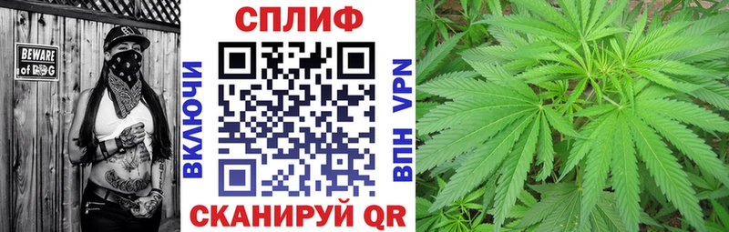 Каннабис планчик  гидра как войти  Будённовск 